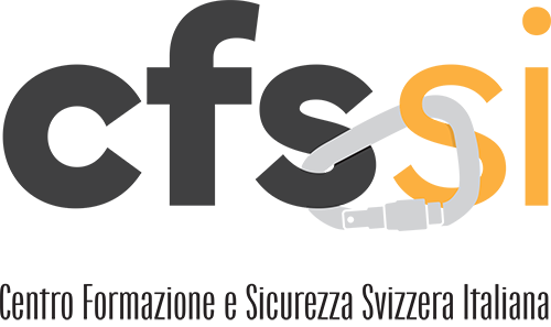CFSSI logo