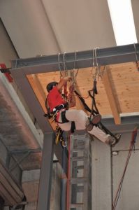 dsc 0217 15 1100 700