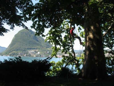 img 5325 25 1100 700