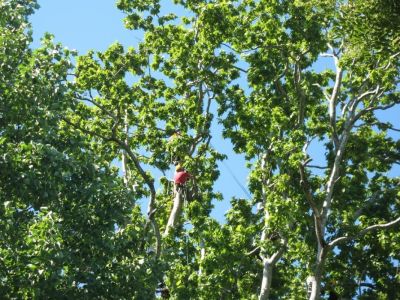 img 5337 26 1100 700