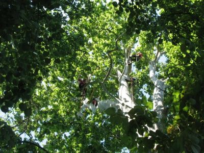 img 5339 27 1100 700